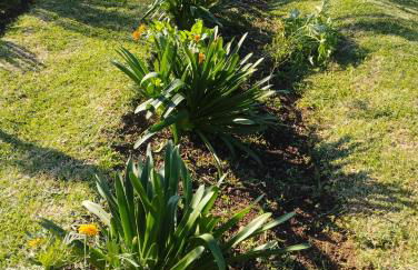 Levada Nova House - Foto 67