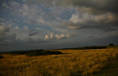 Two unique cabins wrapped in beautiful welsh scenery - Foto 78