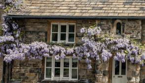 Chantry House - Foto 1