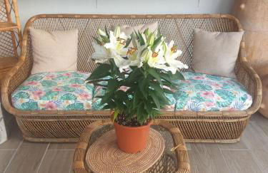 Sondela Self Catering - Foto 37