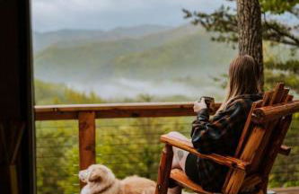 Stunning Pet-Friendly Treehouse for Relaxing Glamping Retreats in North Carolina - Foto 22