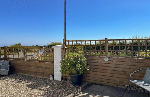 The Yorkshireman - Foto 13