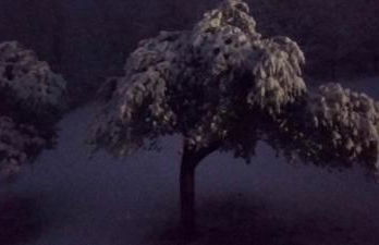 CASA DEL CANTA - Foto 31