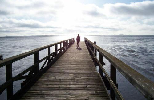 Frisian house Wallsbuell - Foto 27