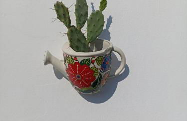 Fichi d india - Foto 35