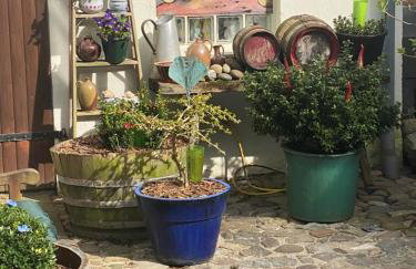 Jan`s FeWo - Foto 27