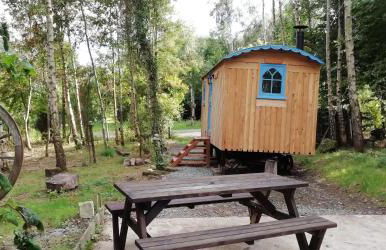 Sapphire forest garden shepherd’s hut - Foto 33