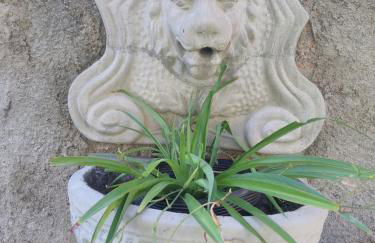 Chalés Bello's Corais. - Foto 56