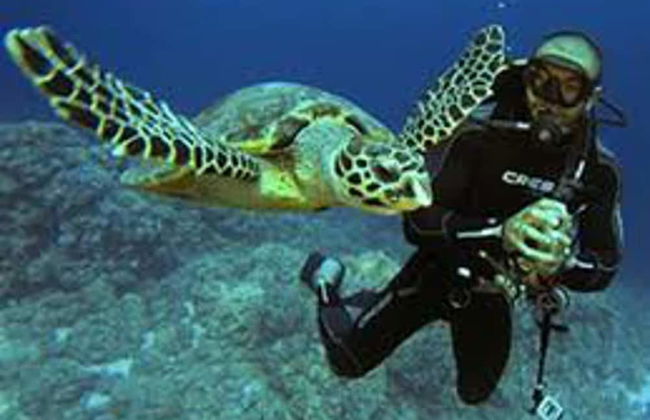 Beautiful 2bed Appt in Hurghada, Short & Long Term - Foto 19