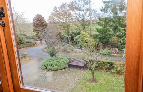 Carvin-Tor - Foto 20