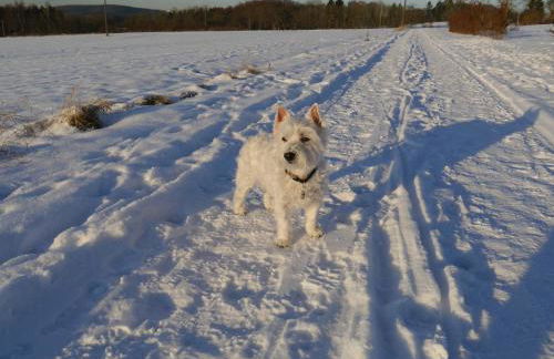 Rhein - Mosel Quartier 4 - Foto 44
