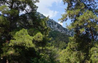 Lotza Traditional House Salakos - Foto 27