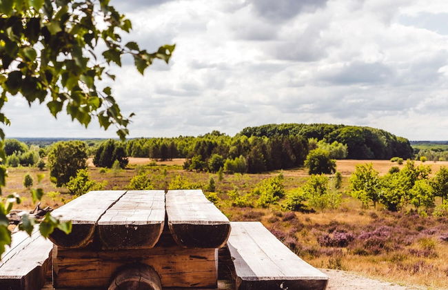 Comfortable Bungalow on the Veluwe - Photo 20