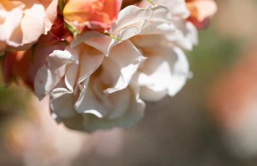 Residence Margreth - Foto 40