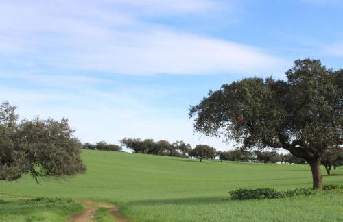 Herdade da Boavista - Foto 56