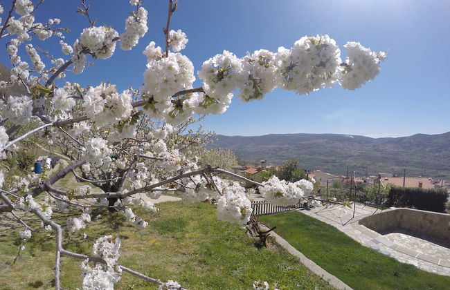 Casa Rural El Regajo Valle del Jerte - Foto 26