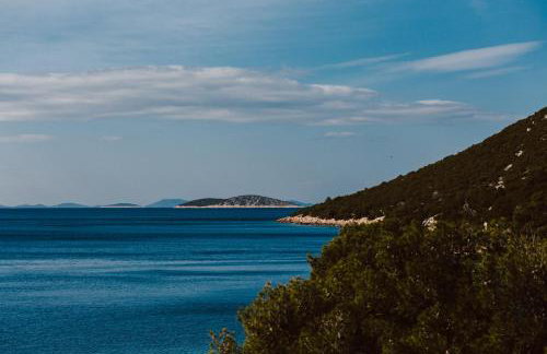 Alexandra Apartments - Foto 73