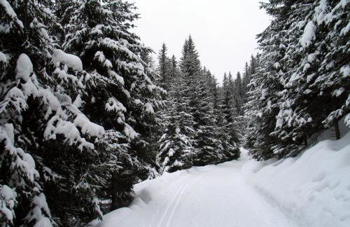 Pitznerhof - Foto 10