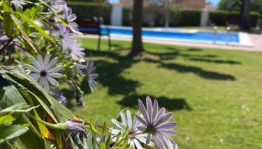 Cala puntal - Foto 3