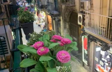 la casa di patta a spaccanapoli - Foto 41