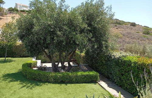 Anemelia & Helios Studio - Foto 40