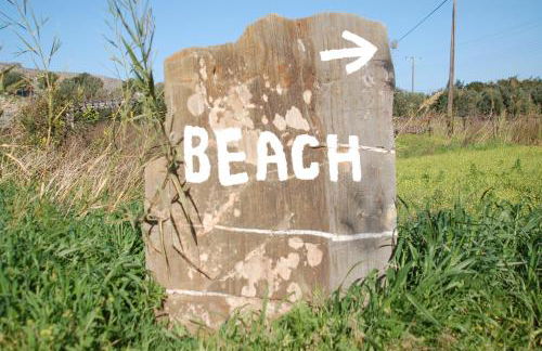 Little Blue - Photo 34