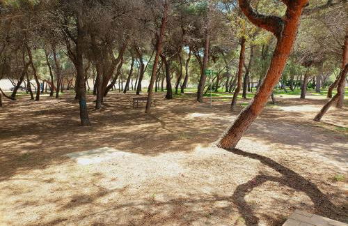 Pine Horizon Family - Photo 24