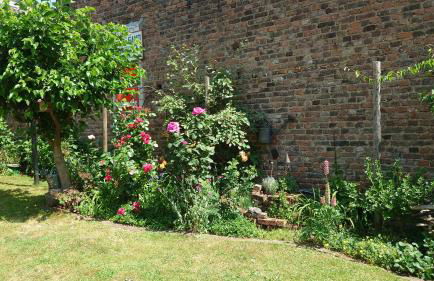 Ferienwohnung Olivenblick Bad Honnef - Foto 46