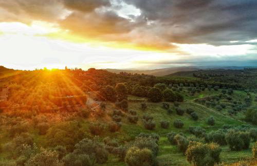 Borgo San Gusmè - Foto 62