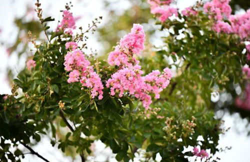 Taygetos Escape Sparta - Foto 11