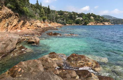 Appartement - Résidence Le Paradou - Foto 22