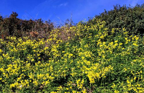 Suite of light rooms - Foto 43