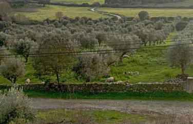 Retiro da cegonha - Foto 74