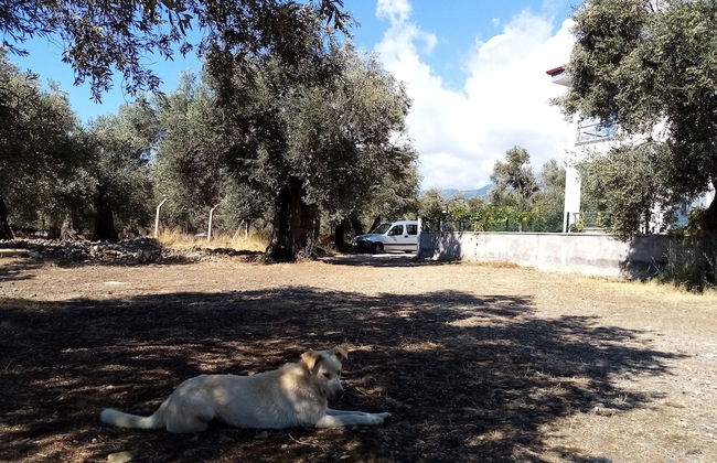 Yazduf Family Homes - Foto 30