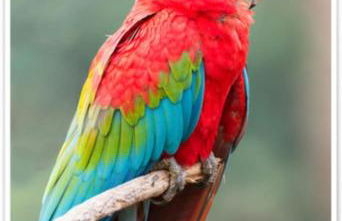 Agriturismo Villa Paradiso Esotico - Photo 38