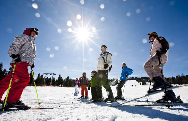 Chalet in Stadl an der Mur With Sauna - Foto 20