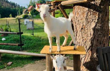 Naturhof Kluge - Foto 49