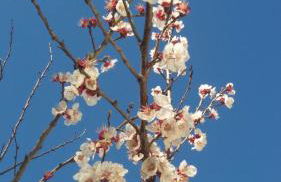 Résidence Miro, gîtes équipés été et hiver, tennis, piscine - Foto 63