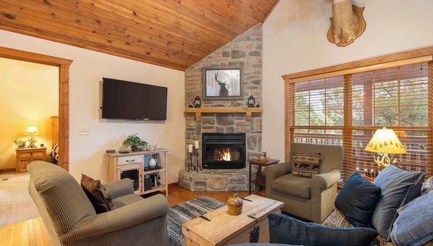 Simon's Treetop Cabin - 2 BDR in Popular Resort - Foto 2, Imagen principal