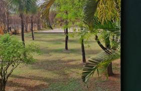 Chácara BKK - Foto 7