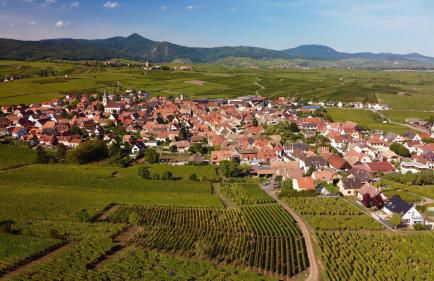 Gîte du Vignoble - Foto 20