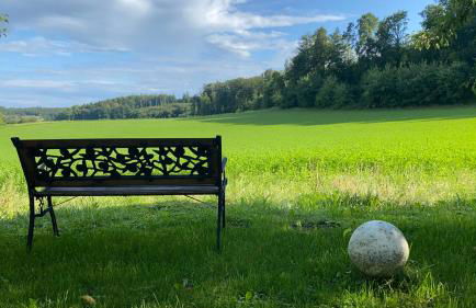 Tolles Apartment mit großer, überdachter Terrasse - Foto 24