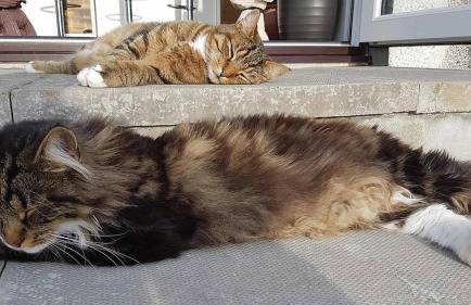 Shiskine Pod - Foto 20