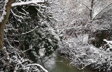 Iliana's house - Photo 9