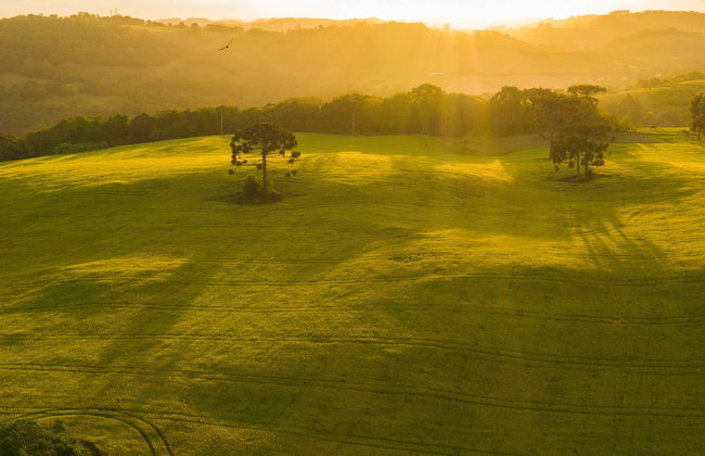 Escursione a Cotiporã - Foto 1