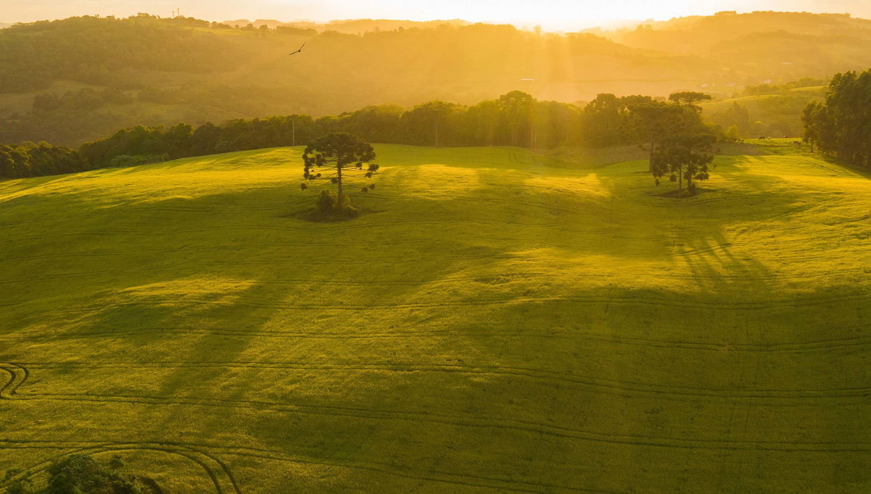 Day Trip to Cotiporã + Wine Tasting