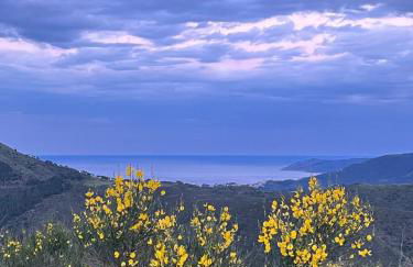 Refugi de l'Albera - Foto 21
