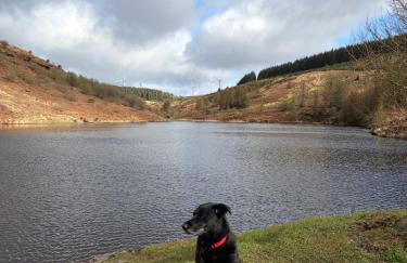 3 bed workers home Welsh Valleys - Foto 20