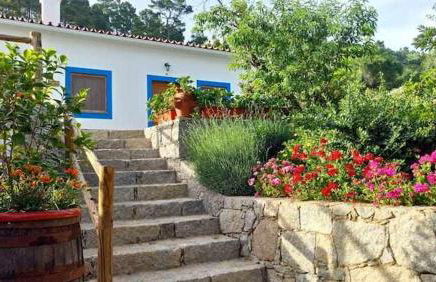 Quinta da Idalina - Foto 10