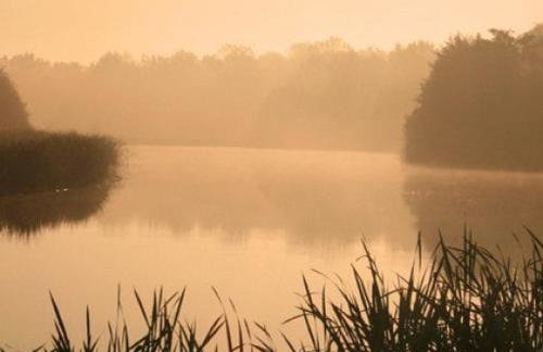 Fraser's Cottage, Henham Park, Nr Southwold - Photo 9